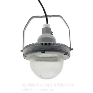防爆节能灯BAD51 LED 50W防爆灯 高压钠灯泡 NGG/NGX400W