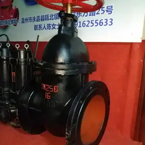 暗杆明杆软密封闸阀 Z45X-16Q DN250大口径铸铁法兰闸阀