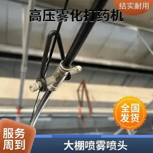 大棚用高压喷雾器 压力大雾化效果好 推车式大容量汽油打药机