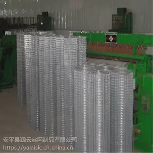 现货供应镀锌铁丝网,墙体保温电焊网,黑丝电焊网