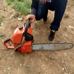 ����ľ���Ի� ԰����������� �̻�ֲ��������