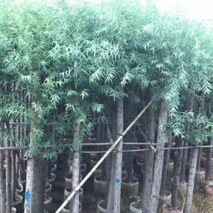 ��������������-�����д���������-ˮ����������۸�� -ˮ�����繩Ӧ��