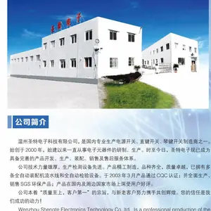 温州圣特电子科技有限公司