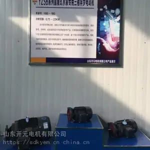 山东开元电机公司张凯变频电机YVF2-225M-4-45
