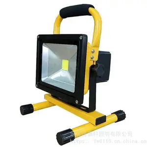 DSFY-6510LED������Ṥ����¶Ӫ����Ͷ����ƶ���10W/30W