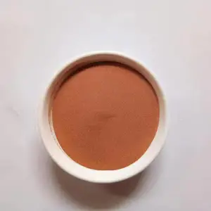 ����΢������ ���� �Ͻ��2000Ŀ��Ϳ����