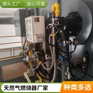 岱鼎燃烧 油气开采水套炉燃气燃烧器 焦炉煤气燃烧系统转炉煤气烧嘴