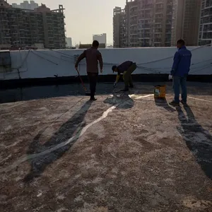 惠州市惠东宝口镇有木有欧耐克防水分部.惠州建筑防水补漏公司