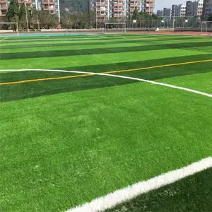 �����̻��� �˶��ܵ��̵ز�ƺ�� Χ����Ƥ