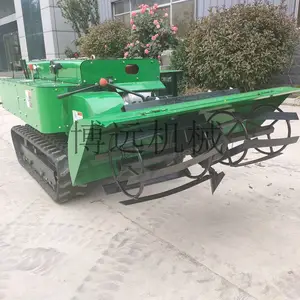 ������������������ ��԰������ ��ľ������԰������
