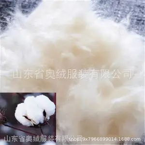 玩具填充用有机散棉 认证GOTS 棉 有机棉棉絮片 混纺棉絮片