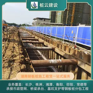 ��˳�ְ�׮ѡ��׮�ƽ��� �������� �нӴ�С���� TD1003
