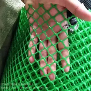 ����©�������� ���������� ��ֳˮ����