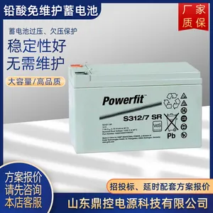 美国GNB蓄电池S312/100铅酸免维护Powerfit阀控密闭12V100AH电池UPS不间断电源更换安装回收维修巡检
