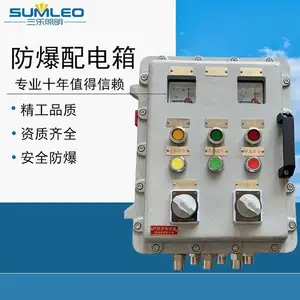 定制防爆配电箱 配电柜仪表箱 控制箱 户外防爆箱