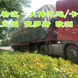 ���������豸��ʩ ���ڵ�����˹Ī˹�� TIR������������ ʱЧ�ȶ�