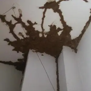 �򽭵�������***�����������ſ��ְ�����ô����