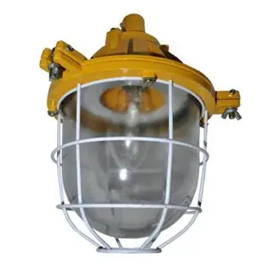 ����LED������100W �����ͳ���ֿ⳧������������ּ���վ������