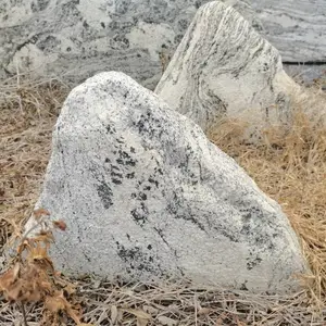 江西鹰潭泰山石切片组合 鹰潭泰山石门前摆放 鹰潭泰山石散置草坪