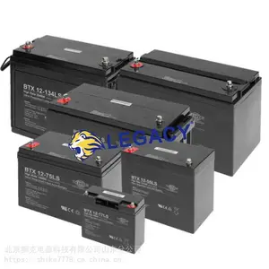 德国WING蓄电池BTX12-150LS多用途浮充电源