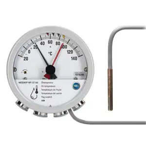 �¹�Messko �����¶ȼ�COMPACT  MT-ST160W/WRM(TT)�¶ȼ�  ��ѹ���������� �¶ȴ�����