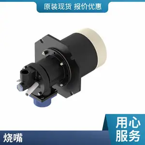 设计RTO废气焚烧炉燃烧器 柴油烧嘴 轻油烧嘴裂解气烧嘴 岱鼎燃烧