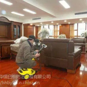 番禺区杀虫除白蚂蚁甲醛公司