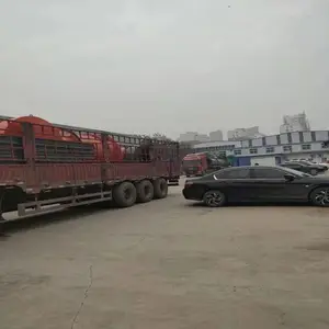 ���ڸ�ţ�����Ǯһ�֣�һ��ţ�����������л���