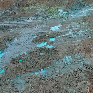 �ӱ������������ֳ��� �۳����Ƽ�
