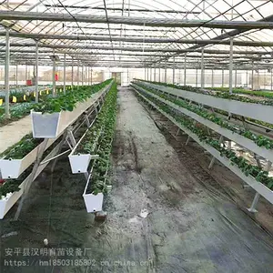 草莓槽立体基质栽培槽床汉明加工定制