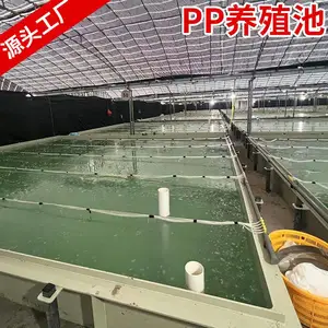 �ӹ����ƾ۱�ϩPPˮ�� ��ع��亸��pp���� ��Ӧˮ����ֳ������