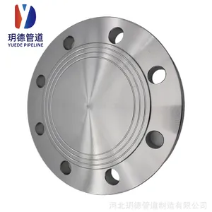 供应南京BL 400-10 FF HG/T20592(B)-2009 316L不锈钢法兰盖