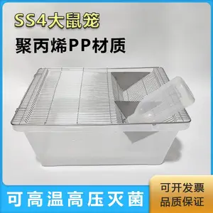 SS4������ʵ��������������������