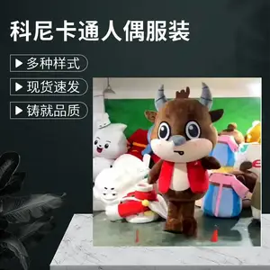 ���� IP ��ż��װ����***������ר����������