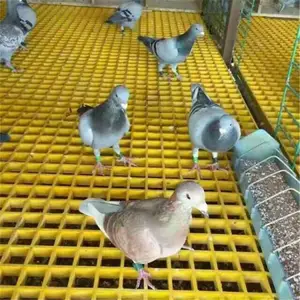 �����ָ�դ �����ָ�դ�ǰ� �����ַ����� ����Щ�ͺŹ��