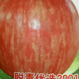 ƻ��������������ƻ������Ӧ�̡�2����ƻ������
