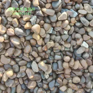 广州南沙鹅卵石打磨工艺 南沙杂色鹅卵石案例 南沙鹅卵石有几种规格