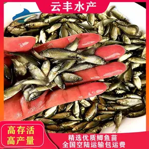 ���������� ������ˮ�� �Ʒ���ֳ��������Ӧ �п�����������
