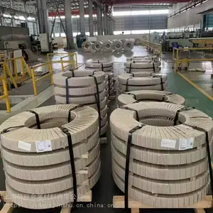 ����������ָ�ư屦��SECCN5��ָ�Ƶ��п��������������