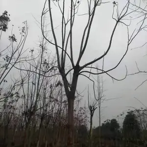 �� �� ����10-20�����������أ��������㣬���κ�