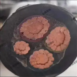 ֧�ֶ���MGTS33 (2��144)Bú����ͨ�Ź���ʹ��������