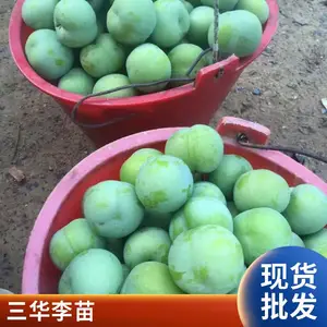 �����������������������Ǯ�������������޽��������������