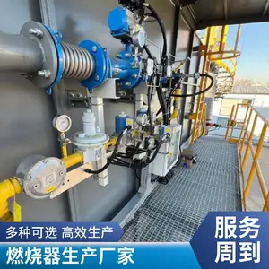 低氮燃烧器 300万大卡燃气低氮50毫克烧嘴 天然气燃烧器