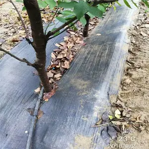 四川编织防草布 葡萄园秋季固定方法