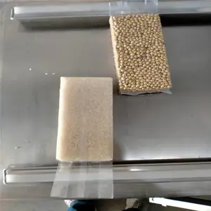 ������������DZ500-2SA��ʳ��հ�װ��