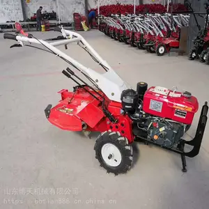 ��԰���������� ����186�Ϳ����� ���쿪��������