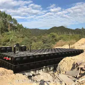 BDF抗浮式地埋箱泵一体化设计要求