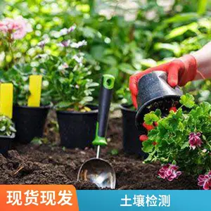 �����ŷŷ������ ���ڻ����������� 2025�������ٳ�����