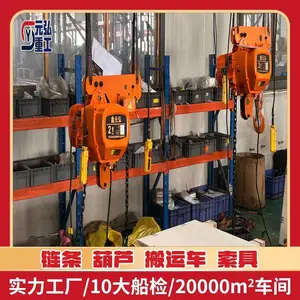 CCS 证书 运行式船用电动葫芦 10T12M 船坞修造吊装 防水防锈 元弘重工W