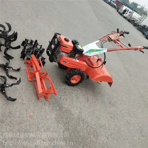 �ڽ��԰�������ݻ� �ӱ�С������������ С������������